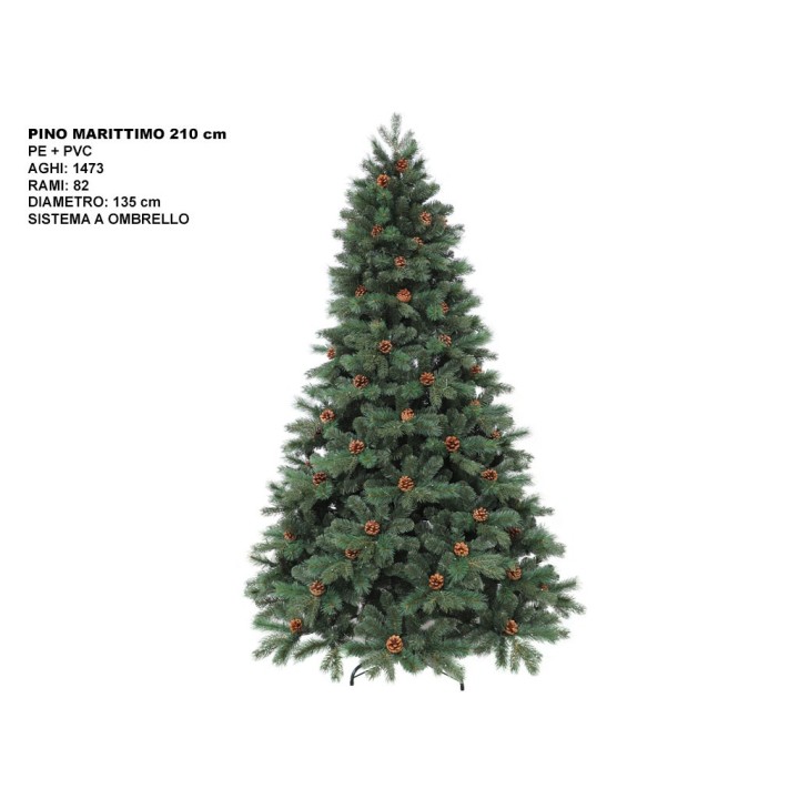ALBERO PINO MARITTIMO CM 210