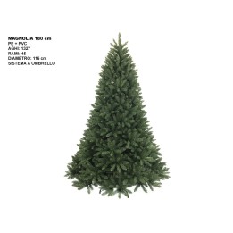 ALBERO MAGNOLIA CM 180