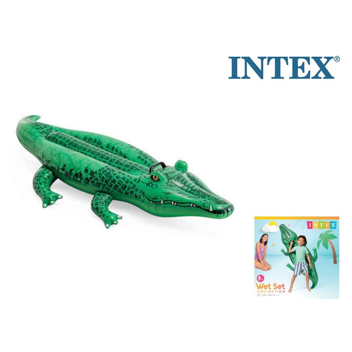INTEX CAVALCABILE ALLIGATORE CM168