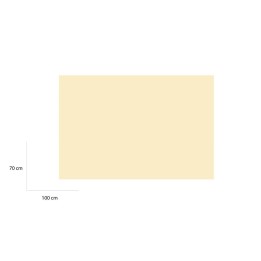 CARTONCINO ONICE 70X100