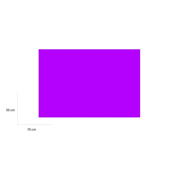 CARTONCINO VIOLA 50X70