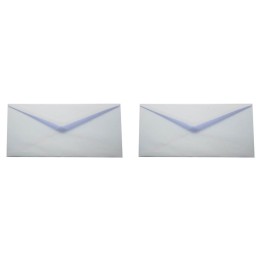 BUSTE CAMPIDOGLIO 100- 18X24 500PZ.