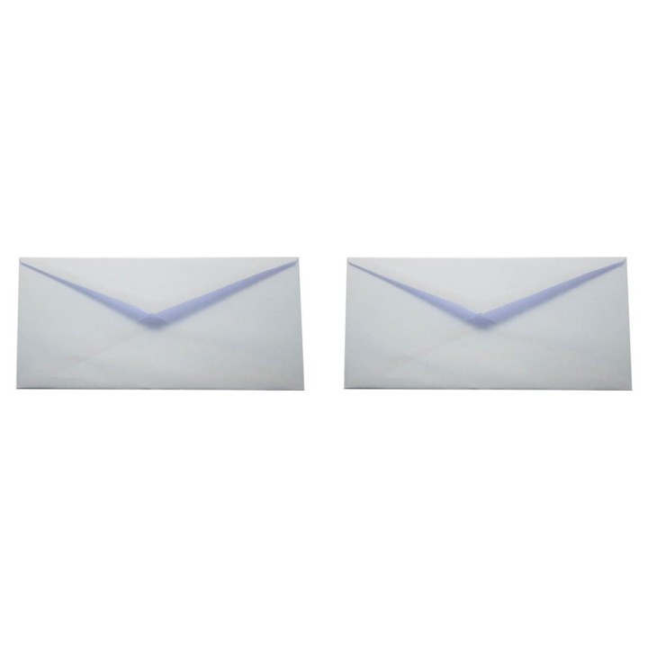 BUSTE CAMPIDOGLIO 100- 18X24 500PZ.