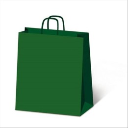 BORSA ALLEGRA VERDE 22X10X27 SDF22 560