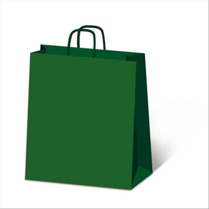 BORSA ALLEGRA VERDE 22X10X27 SDF22 560