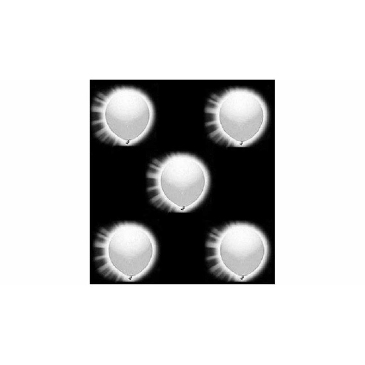 PALLONCINI LED 5 PZ COLORE BIANCO 9511