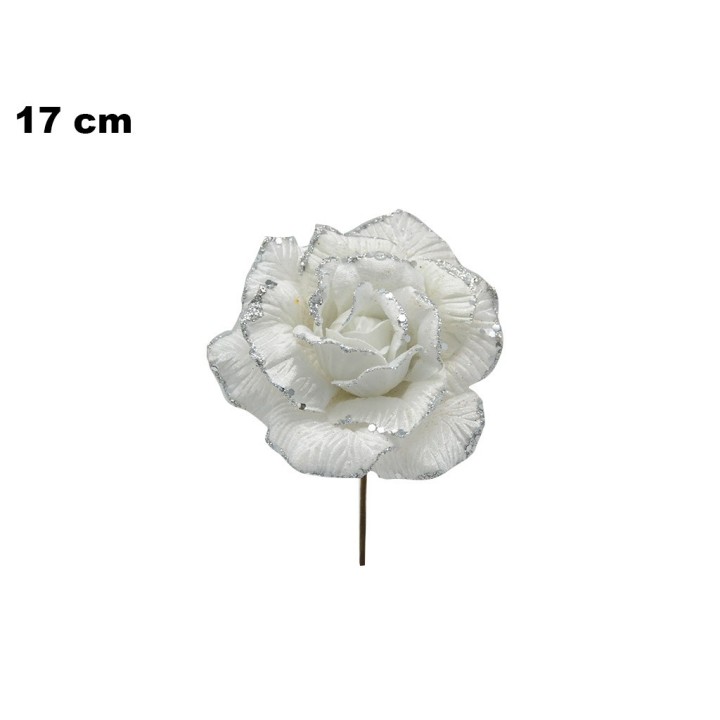 FIORE NATALIZIO BIANCO
