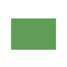 CARTONCINO VERDE 220G 50X70