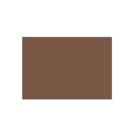 CARTONCINO NOCCIOLA 220G 70X100