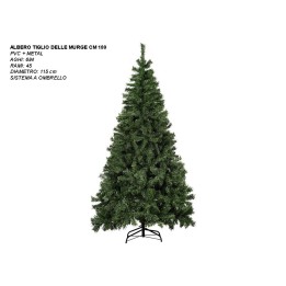 ALBERO TIGLIO DELLE MURGE CM 180