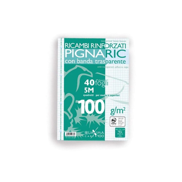 PIGNA RICAMBI PIGNARIC A4 5MM 100GR