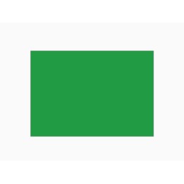 CARTONCINO VERDE VIVO 220G 50X70