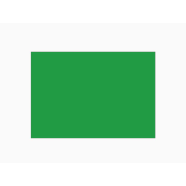 CARTONCINO VERDE VIVO 220G 50X70