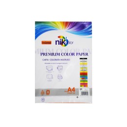 CARTA BIANCA A4 100 FG 200GR 23NIK098/20