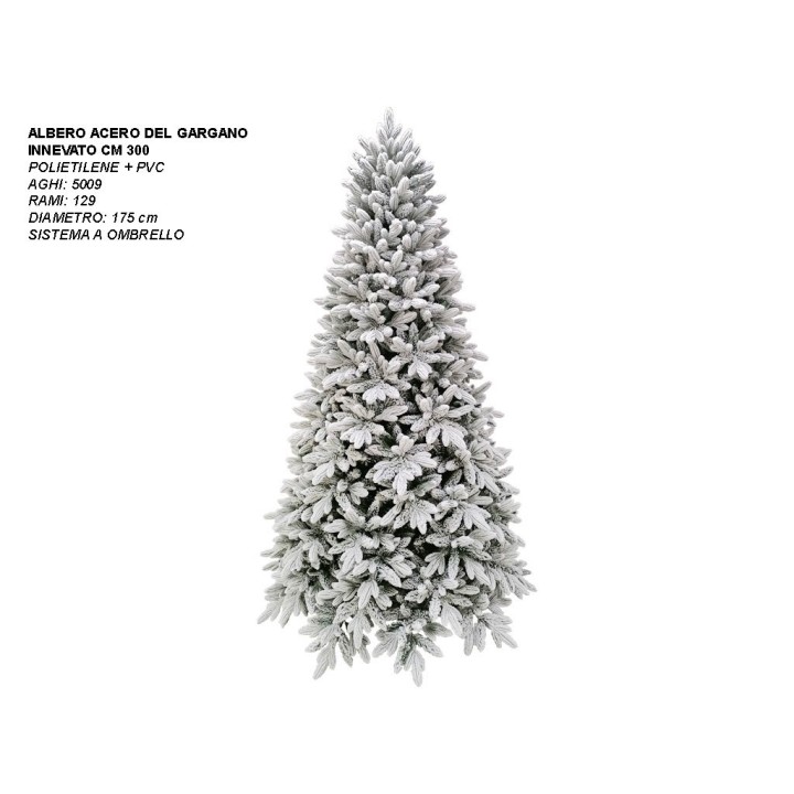ALBERO ACERO DEL GARGANO INNEVATO CM 300