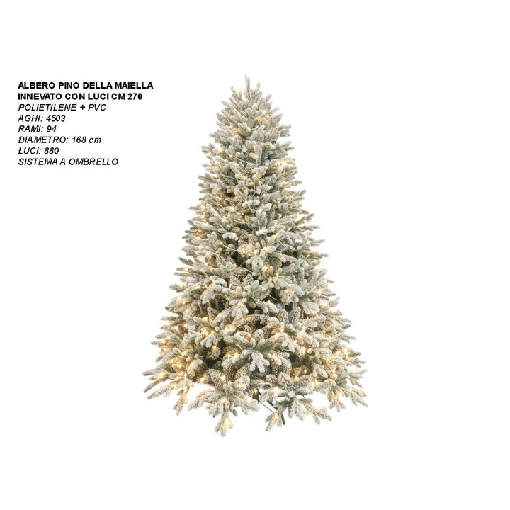 ALBERO PINO DELLA MAIELLA INN. CON LUCI