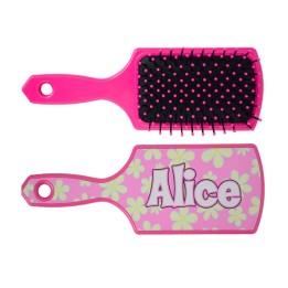 SPAZZOLA ALICE