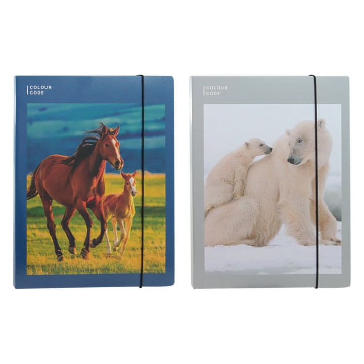 CARTELLINA C/ELASTICO COLOUR CODE ANIMAL