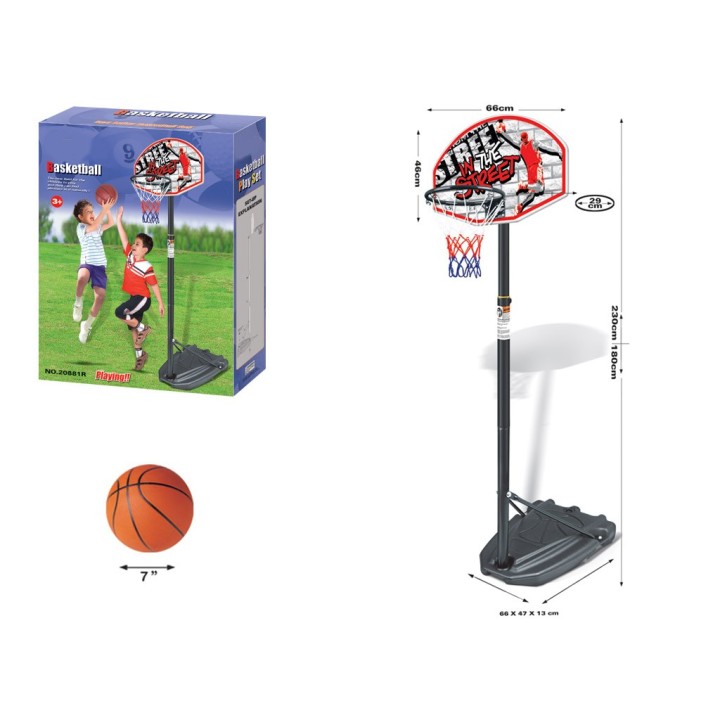 BASKET CON PIANTANA CM 230