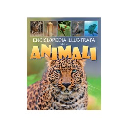 ENCICLOPEDIA ILLUSTRATA DEGLI ANIMALI