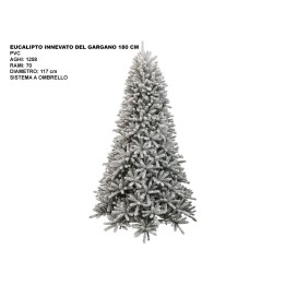 ALBERO EUCALIPTO INNEVATODELGARGANOCM180