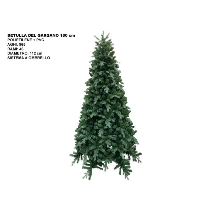 ALBERO BETULLA DEL GARGANO CM 180