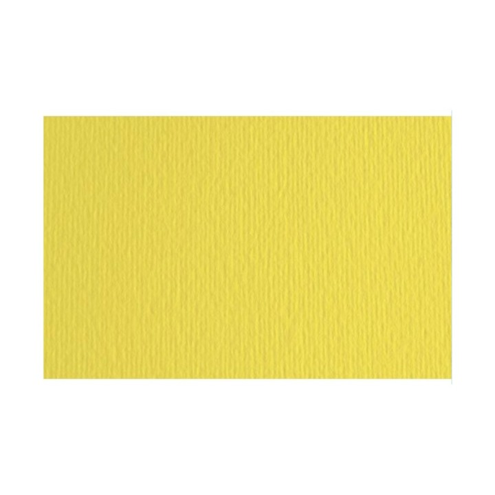 CARTONCINO CEDRO 50X70