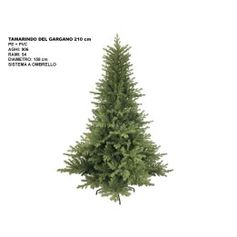ALBERO TAMARINDO DEL GARGANO CM 210