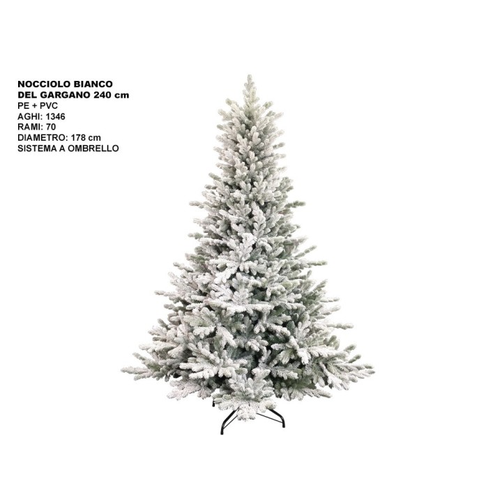 ALBERO NOCCIOLO BIANCO DEL GARGANO CM240