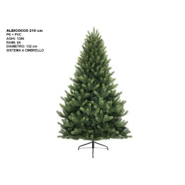 ALBERO ALBICOCCO CM 210